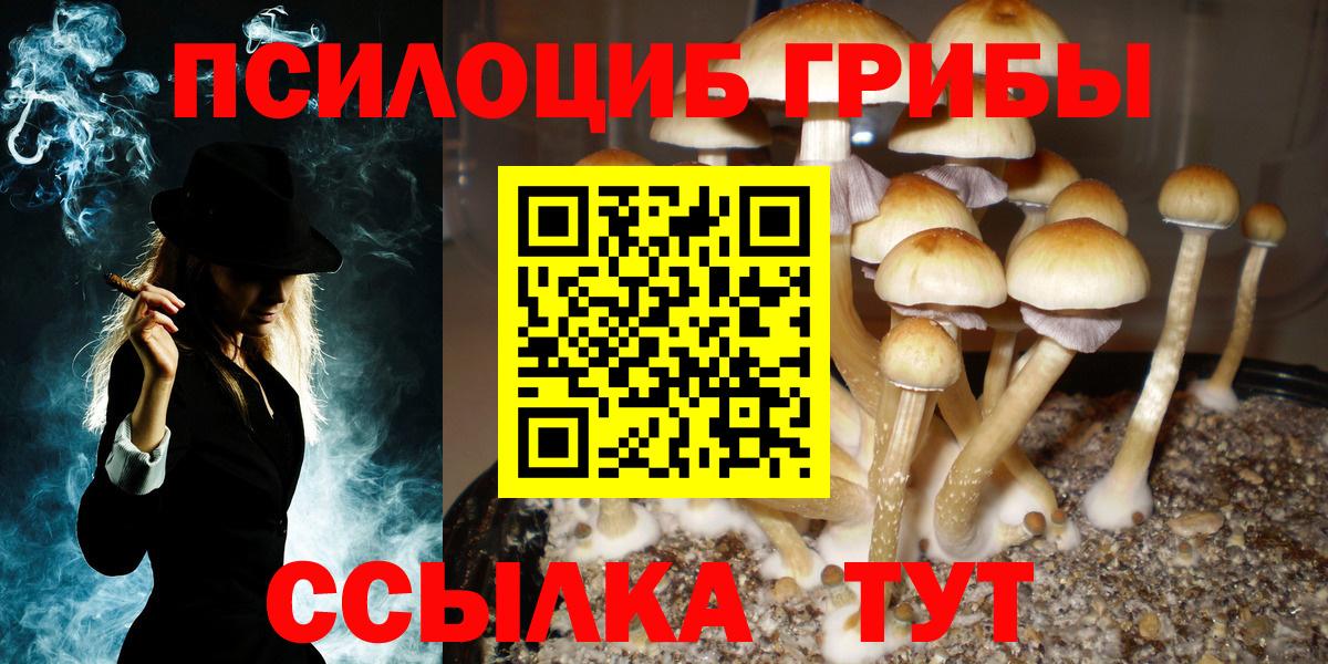 Галлюциногенные грибы Magic Shrooms Йошкар-Ола