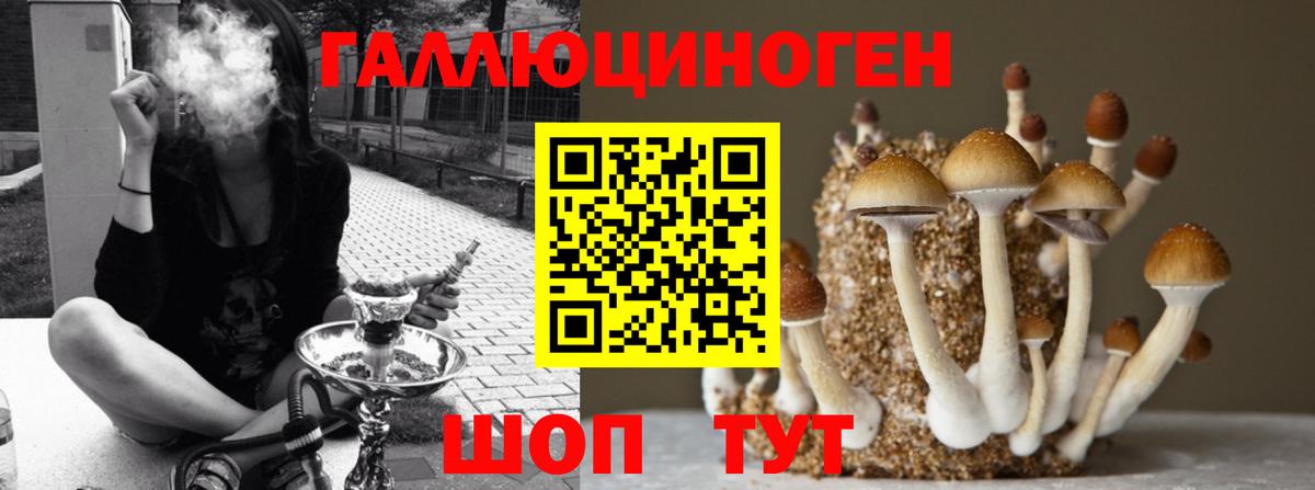 Псилоцибиновые грибы мухоморы  Вход с VPN  Йошкар-Ола 